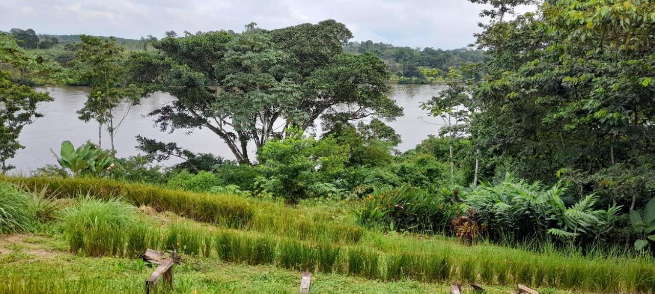 La Mariola - Finca Agroecologica El Castillo de La Concepción Kültér fotó