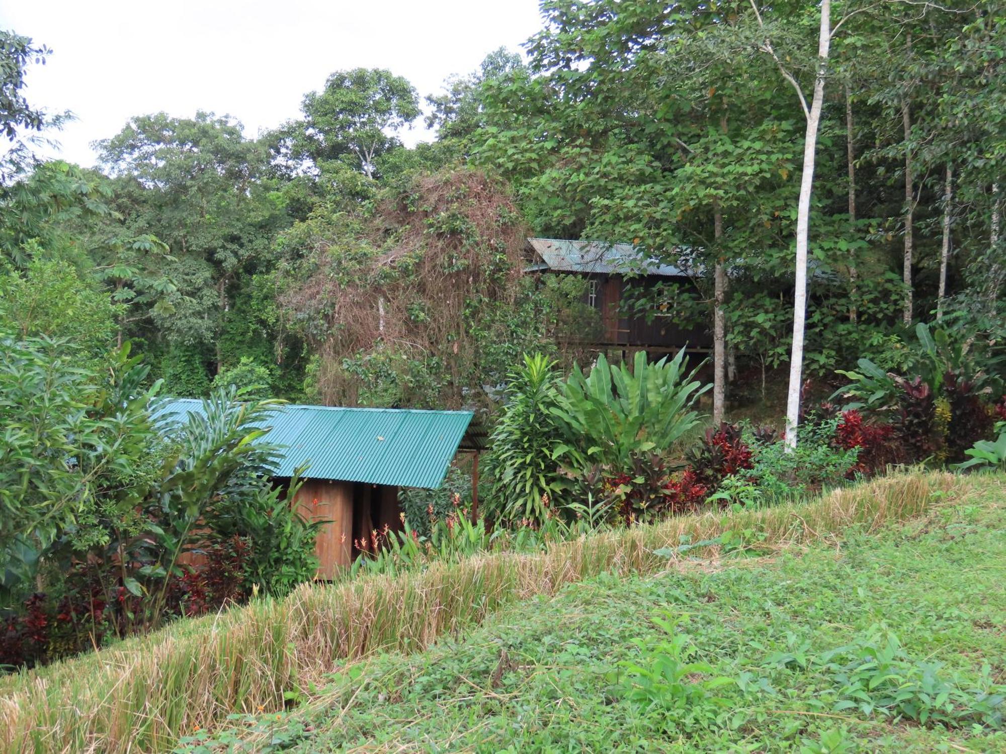 La Mariola - Finca Agroecologica El Castillo de La Concepción Kültér fotó